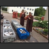 Buddyjscy mnisi na Wyspie Księcia Edwarda postanowili kupić 600 funtów...